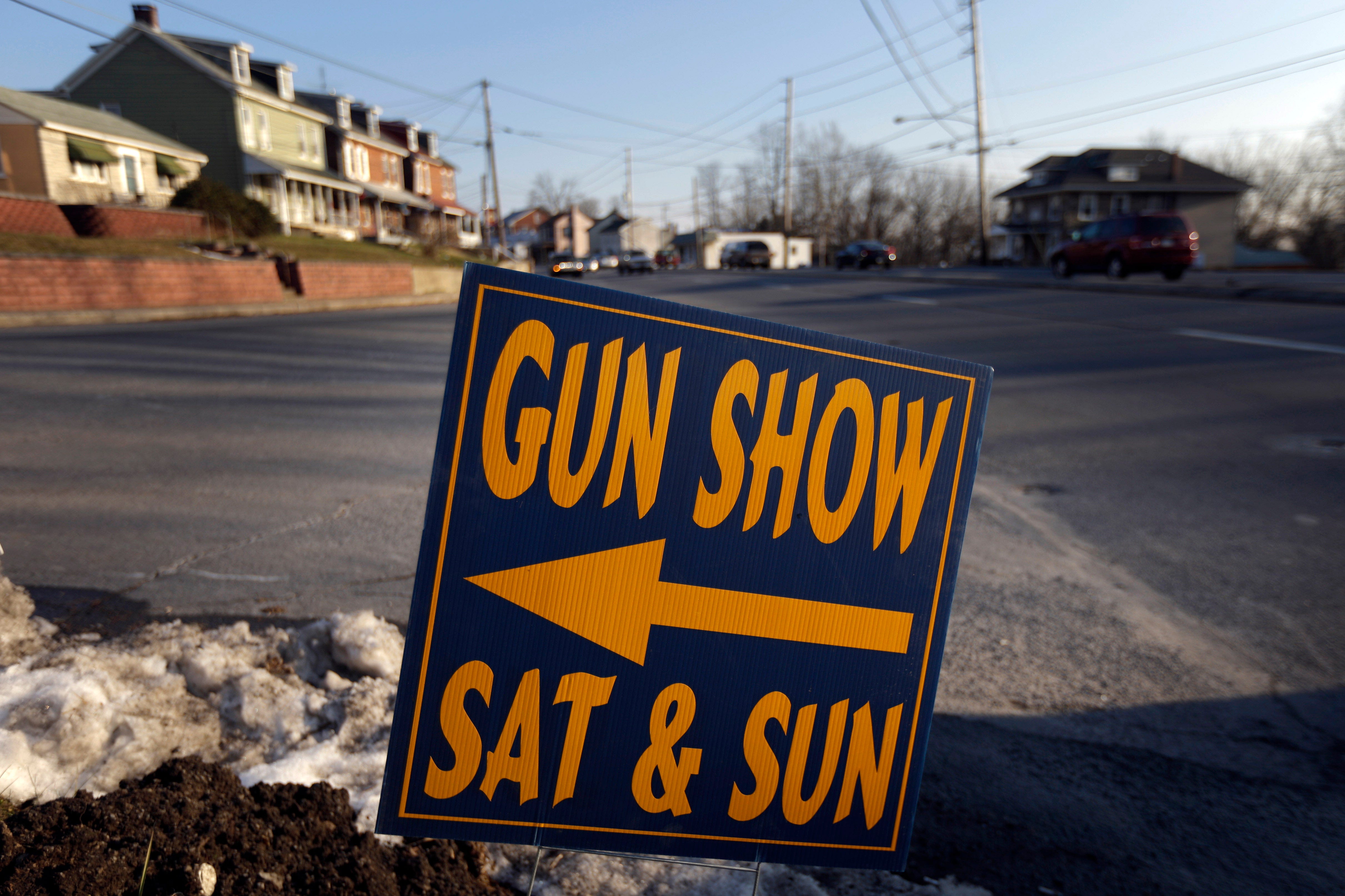 School Shooting Gun S1.jpg